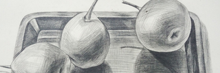 Observational Drawing; The Ultimate Beginners Guide