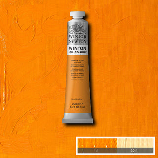 Winsor & Newton Winton Oil Colour 200ml - 115 Cadmium Yellow Deep Hue