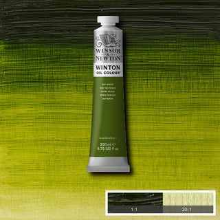 Winsor & Newton Winton Oil Colour 200ml - 599 Sap Green