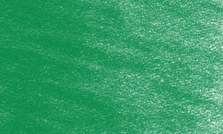 Derwent Coloursoft Pencils - Mid Green
