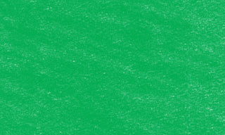 Derwent Coloursoft Pencils - Pea Green