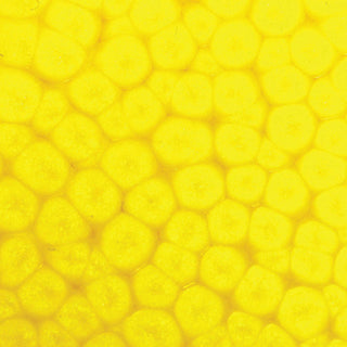 Pebeo Fantasy Prisme Multi Surface Paint 45ml - Fluorescent Yellow