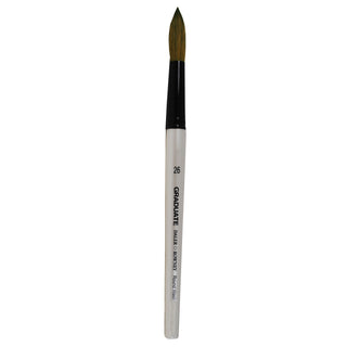 Daler Rowney Graduate Pony & Synthetic Round Wash Brushes