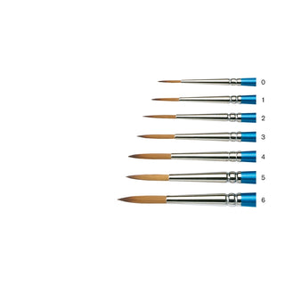Winsor & Newton Cotman Water Colour Series 222 Designers' Brushes