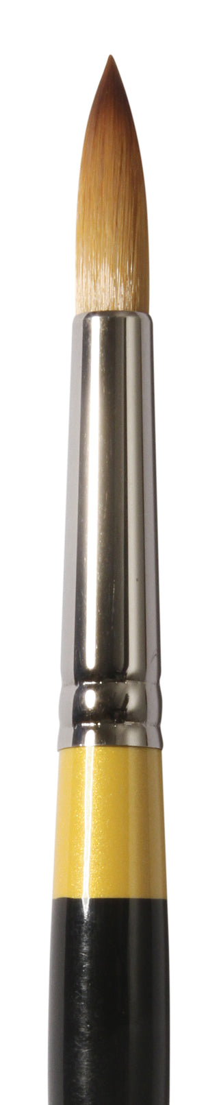 Daler Rowney System 3 Acrylic Brushes