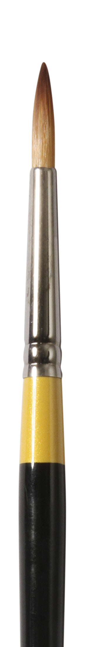 Daler Rowney System 3 Acrylic Brushes