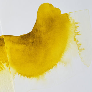 Winsor & Newton Ox Gall Liquid 75ml