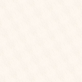 Fabriano Tiziano Coloured Pastel Paper A4 (Packs of 5 Sheets) - 01 White