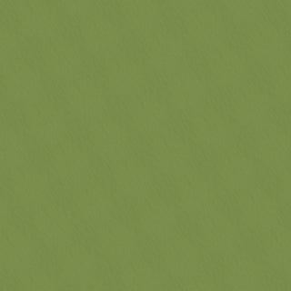 Fabriano Tiziano Coloured Pastel Paper A4 (Packs of 5 Sheets) - 43 Pistachio