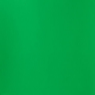 Winsor & Newton Designers Gouache 14ml - 483 Permanent Green Light