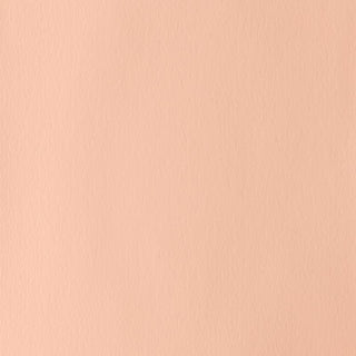Winsor & Newton Designers Gouache 14ml - 257 Pale Rose Blush