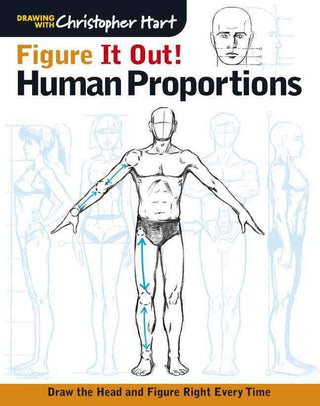 Figure It Out: Human Proportions