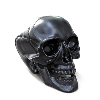 Studio 22 Plastic Life Size Human Skull Reference Figurines