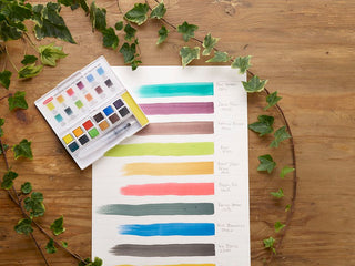 Derwent Inktense Paint Pan Set #1