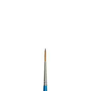 Winsor & Newton Cotman Water Colour Series 222 Designers' Brushes