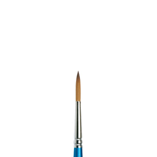 Winsor & Newton Cotman Water Colour Series 222 Designers' Brushes