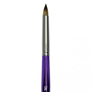 Royal & Langnickel Moderna Series 77 All Media Paint Brushes - Short Round