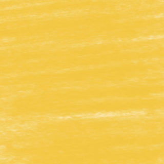 Conte a Paris Pastel Pencils - 014 Golden Yellow