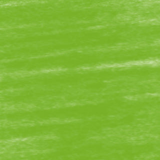 Conte a Paris Pastel Pencils - 008 Light Green