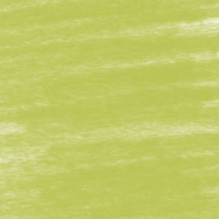 Conte a Paris Pastel Pencils - 050 Lime Green