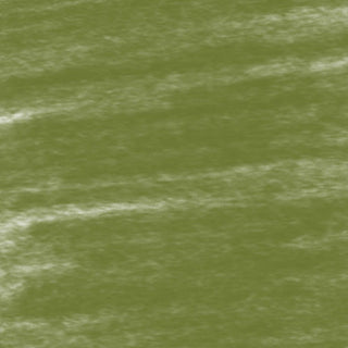 Conte a Paris Pastel Pencils - 016 Olive Green