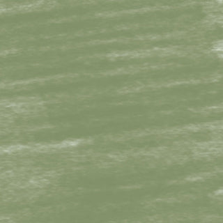 Conte a Paris Pastel Pencils - 051 Grey Green