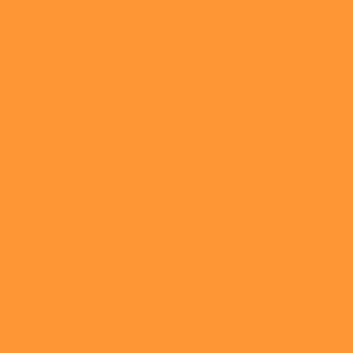 Winsor & Newton Promarker Neon Graphic Markers - Radiant Orange
