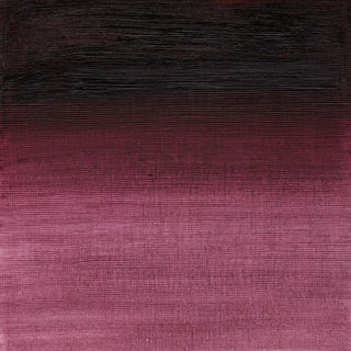 Winsor & Newton Artists' Oil Colour 37ml - 544 Purple Lake