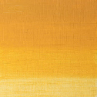 Winsor & Newton Artists' Oil Colour 37ml - 425 Naples Yellow Deep