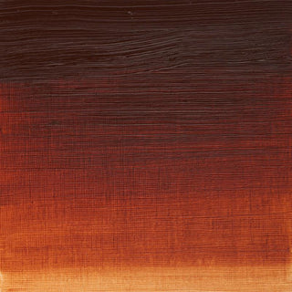 Winsor & Newton Artists' Oil Colour 37ml - 074 Burnt Sienna
