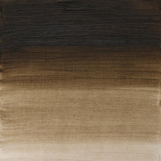 Winsor & Newton Artists' Oil Colour 37ml - 558 Raw Umber (Green Shade)