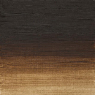 Winsor & Newton Artists' Oil Colour 37ml - 554 Raw Umber