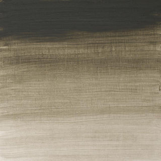 Winsor & Newton Artists' Oil Colour 37ml - 217 Davy's Grey
