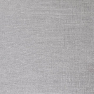 Winsor & Newton Artists' Oil Colour 37ml - 617 Silver