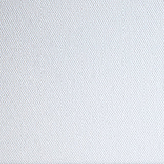 Liquitex Recycled Canvas in Imperial Sizes (Boxes of 5)