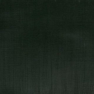 Winsor & Newton Professional Acrylic 60ml - 311 Hooker's Green (S3)