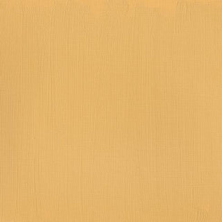 Winsor & Newton Professional Acrylic 60ml - 422 Naples Yellow (S2)