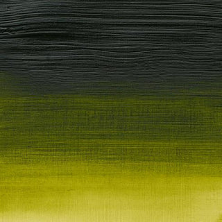 Winsor & Newton Professional Acrylic 60ml - 503 Permanent Sap Green (S3)