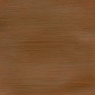 Winsor & Newton Professional Acrylic 60ml - 552 Raw Sienna (S1)