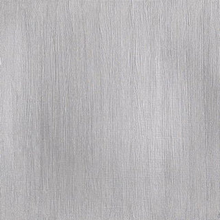 Winsor & Newton Professional Acrylic 60ml - 617 Silver (S3)
