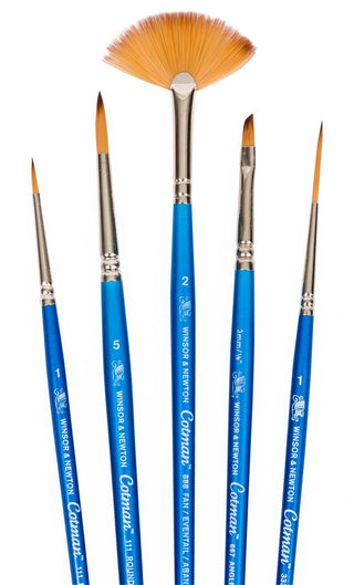 Winsor & Newton Cotman Watercolour Brushes