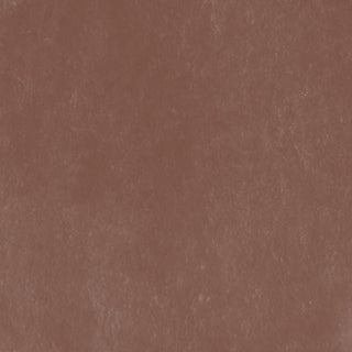 Unison Colour Single Soft Pastels - Brown Earth 18