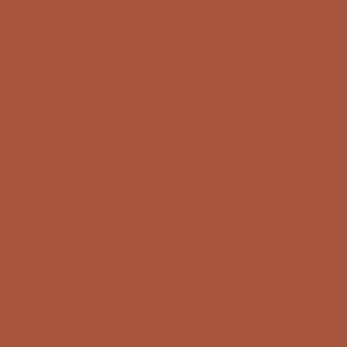 Winsor & Newton Promarker Twin-Tip Marker Pens - Burnt Umber