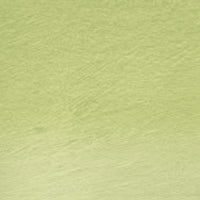 Derwent Procolour Colour Pencils - Light Moss