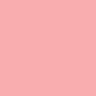 Winsor & Newton Promarker Twin-Tip Marker Pens - Cocktail Pink