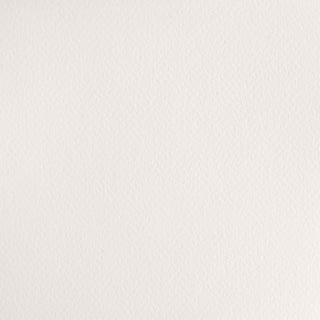Winsor & Newton Cotman Watercolour Paint 21ml - Chinese White