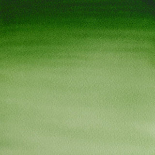 Winsor & Newton Cotman Watercolour Paint 8ml - Hooker's Green Light