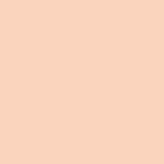 Winsor & Newton Promarker Twin-Tip Marker Pens - Dusky Pink