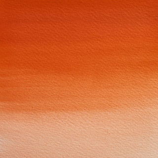 Winsor & Newton Professional Water Colour 5ml - Field's Orange