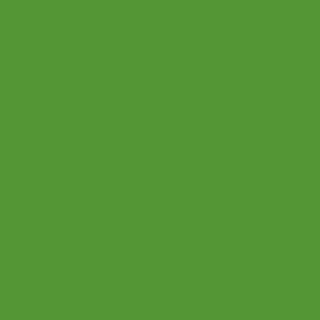 Winsor & Newton Promarker Twin-Tip Marker Pens - Forest Green